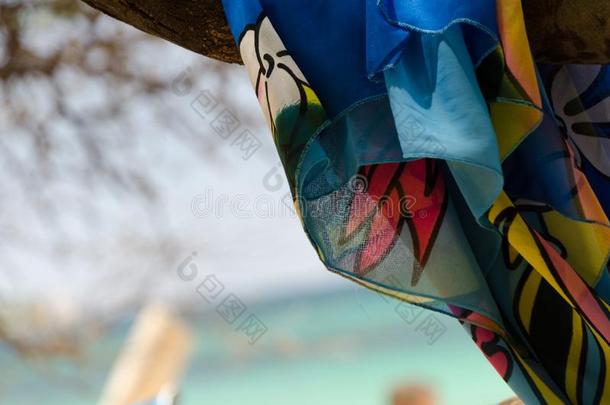 富有色彩的织物<strong>构架</strong>安详关于瓦亚利亚海滩