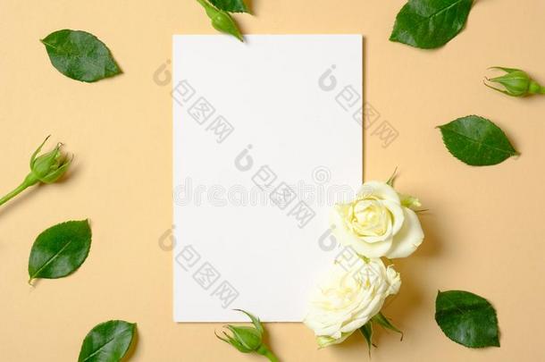 空白的白色的纸卡片和框架使关于玫瑰花和绿色的