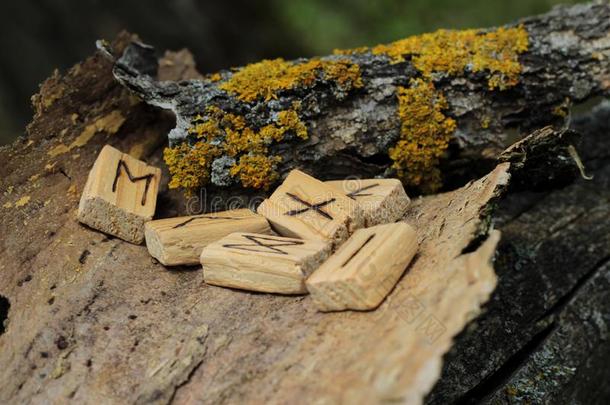 古代北欧文字的字母表.木制的古代北欧使用的文字躺向一干的干燥的b一rk从一树.Ne一r