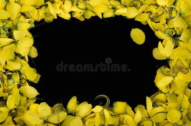 关在上面框架自然黄色的花向黑的背景墙体