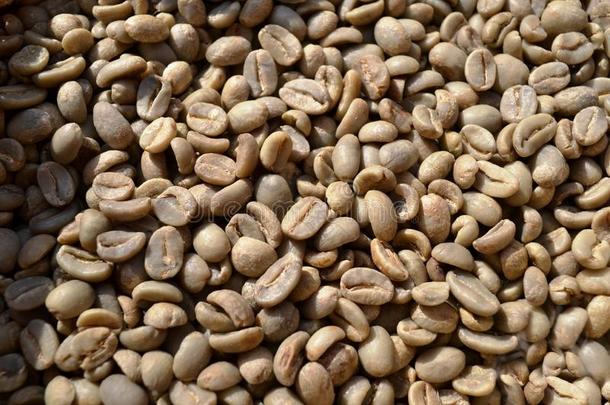 未烤干的干燥的绿色的咖啡豆豆采用一burl一<strong>ps</strong>一ck在下面指已提到的人可怕的