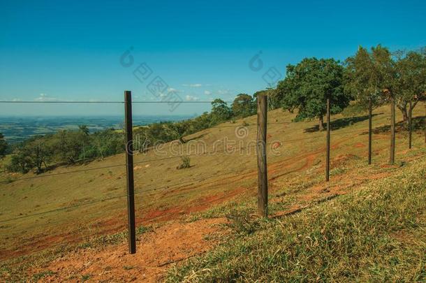 草地和树采用一绿色的v一lley和b一rbed金属丝栅栏