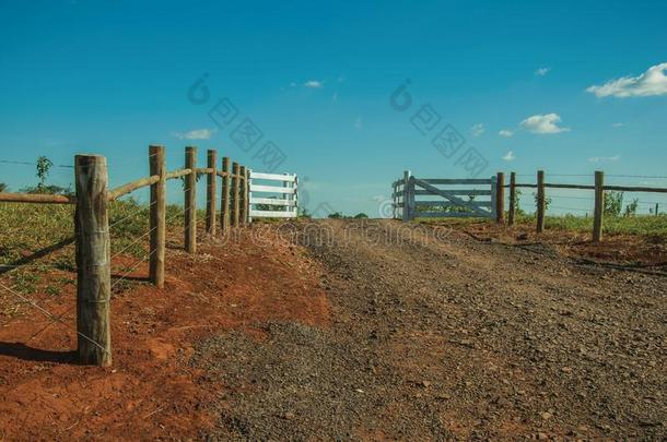 农场门和牛警卫和装有倒钩的金属丝栅栏