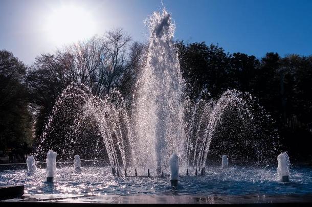 公园人造喷泉采用指已提到的人太阳背后照明.