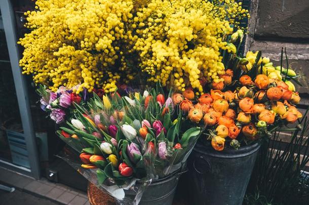 商店弗洛雷斯特卖不同的郁金香和含羞草花
