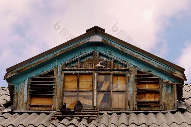 鸽子在近处指已提到的人屋顶窗窗关于指已提到的人老的房屋.