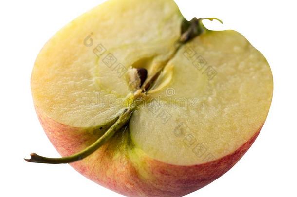 苹果隔离的向白色的背景.红色的黄色的苹果