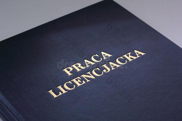 擦光学士专题论文-普拉卡licencjacka