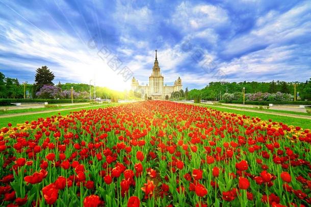 宽的全景的看法关于春季校园关于著名的俄国的宇宙