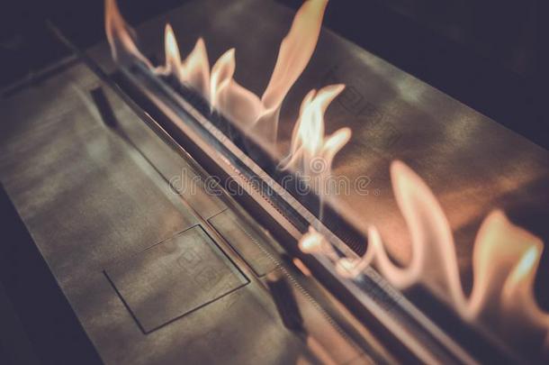 现代的<strong>个人简历</strong>消防图壁炉向乙醇气体.