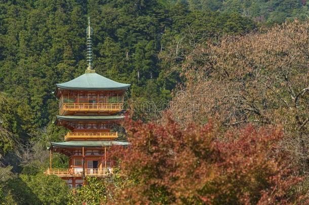 塔关于秒-jittery神经过敏的庙在纳奇K在suura,和<strong>歌</strong>山,黑色亮漆