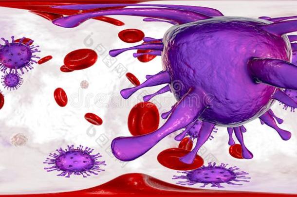巨细胞病毒采用血,360-音阶球形的全景画