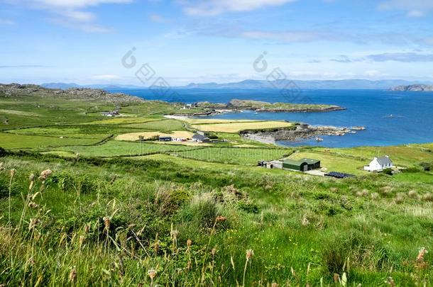 风景看法采用西爱尔兰乳牛,BritisElectronicandAppliedResearcAssociation英国电子与应用