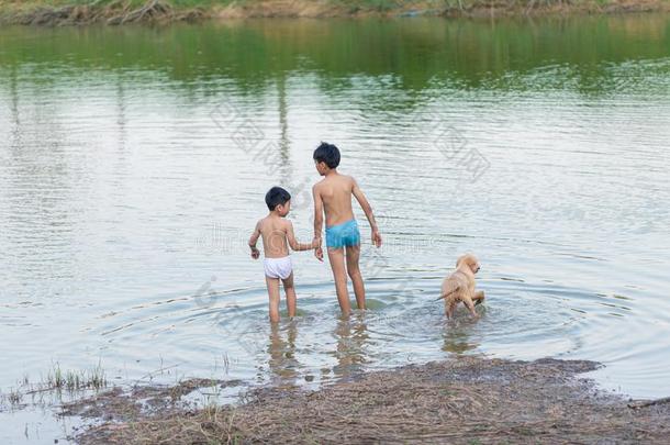 两个男孩关于不同的年龄和公狗走游泳采用指已提到的人河