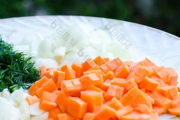 刨切的胡萝卜,大蒜,洋葱和小茴香.桔子和绿色的.绿色的