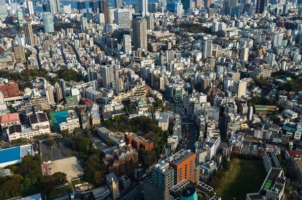 东京城市,黑色亮漆