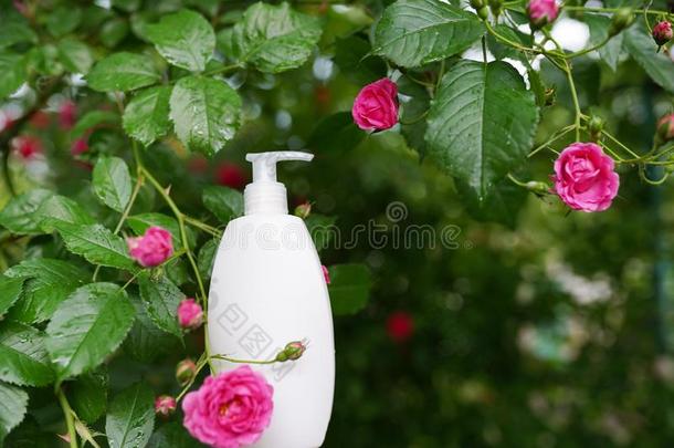 清洁剂化妆品.白色的瓶子向自然花背景机智