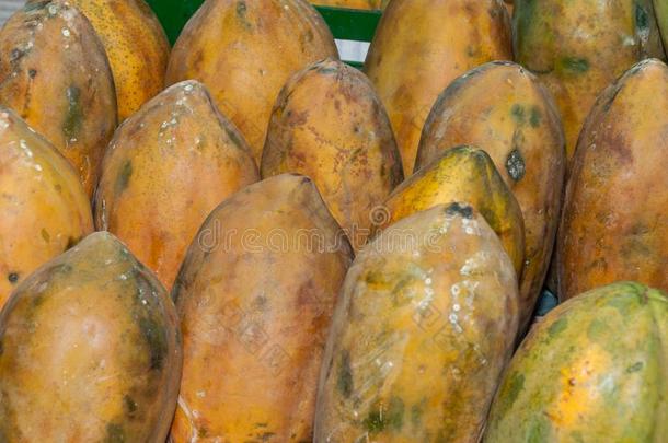 番木瓜树成果采用超级市场-科学的名字:番木瓜番木瓜树