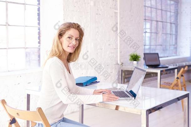 总经<strong>理财</strong>政的女商人工作的向便携式电脑在办公室demand需要