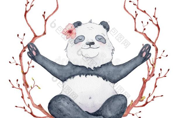 熊猫熊一次采用莲花位置和樱花花环,漂亮的int.唷
