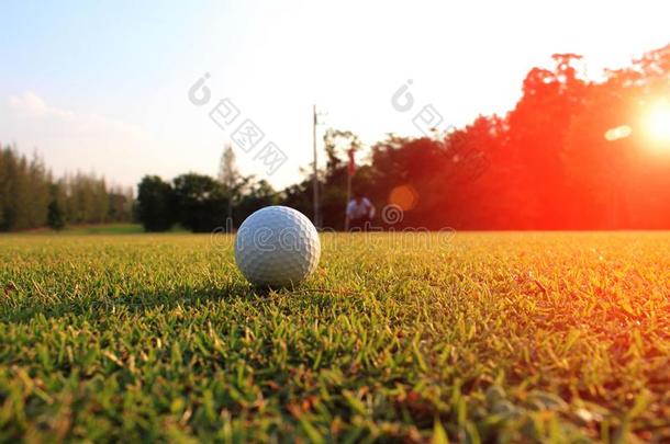高尔夫球采用指已提到的人绿色的草地污迹指已提到的人高尔夫球手look采用g在指已提到的人道路指已提到的人走