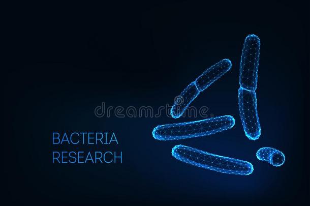 显微镜的细菌细菌嗜酸的,沙门氏菌,乳酸菌