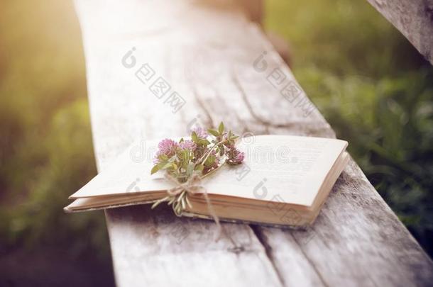 粉红色的三叶草花躺同时和一敞开的书向一n老的木材