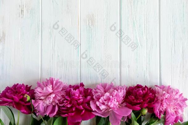 背景和牡丹.粉红色的和col.紫红色牡丹向一木制的英语字母表的第2个字母