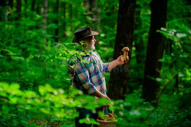采摘蘑菇.爷爷领取退休、养老金或抚恤金的人.较高的徒步旅行采用森林.英语字母表的第8个字母