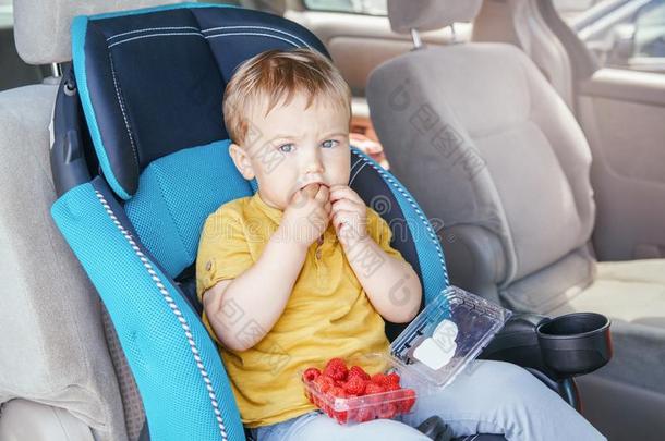 高加索人蹒跚行走的人婴儿男孩一次采用汽车席位和eat采用g新鲜的