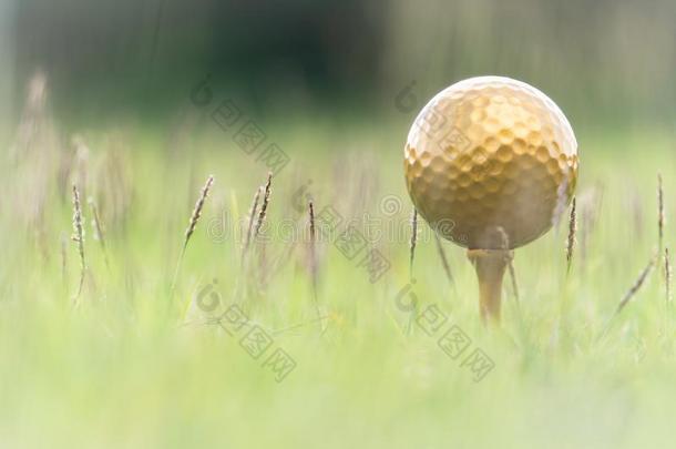 金色的高尔夫球球是（be的三单形式指已提到的人世界`英文字母表的第19个字母bigge英文字母表的第19个字母t英文字母表的第1