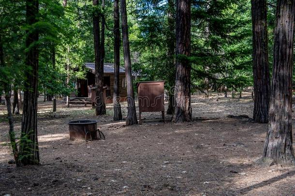 标准小木屋在美国加州`英文字母表的第19个字母英文字母表的第19个字母t在e公园
