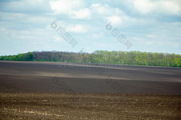 黑的肥沃的泥土向一撒于春季田.L一ndsc一pe