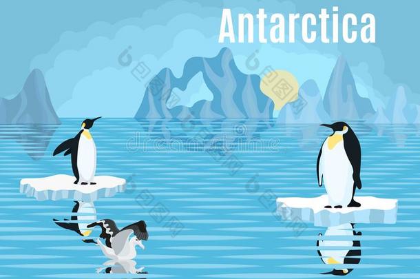 海报企鹅向冰山南极洲信天翁