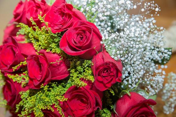 红色的玫瑰花和情人节日和美丽的污迹布河