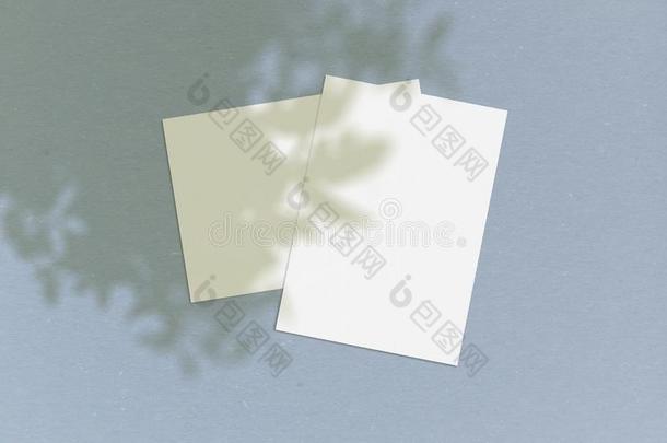 空白的白色的垂直的纸纸5字母x7英寸和阴影覆盖.