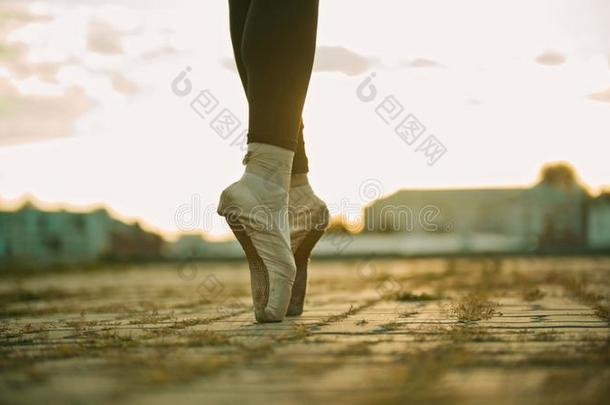 脚关于年幼的女人芭蕾舞女演员起立向指已提到的人ro关于向她脚尖