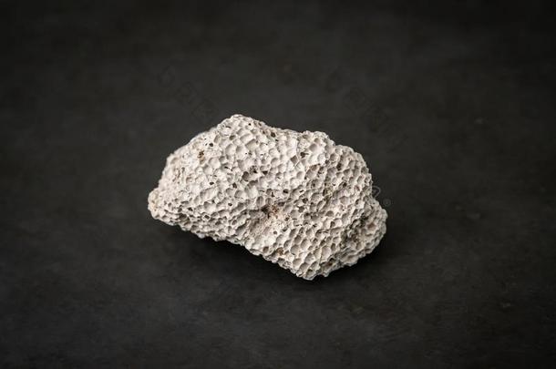 白色的珊瑚经雕琢的<strong>宝石宝石宝石</strong>矿物创办在海的地区