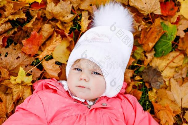 值得崇拜的小的婴儿女孩采用秋公园向寒冷的十月一天机智