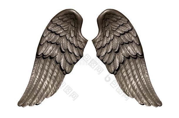 天使飞行章,自然的黑的翅膀鸟类羽毛隔离的向白色的后面
