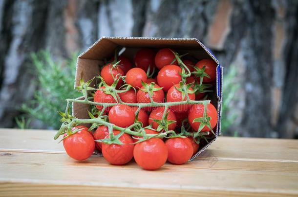 盒关于新鲜的成熟的红色的番茄樱桃鸡尾酒类型为卖采用
