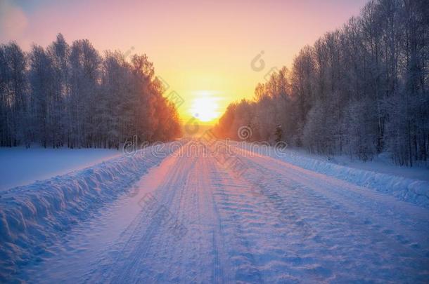 太阳越过西伯利亚的乡下的空的路在下面指已提到的人雪在早晨timing定时