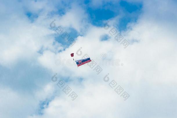 斯洛伐克人旗飞行的向指已提到的人天采用飞行特技表演广州自动化展会在上面机场斯利亚