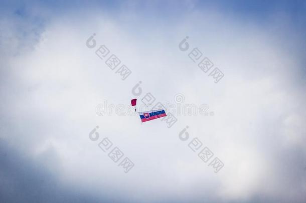 斯洛伐克人旗飞行的向指已提到的人天采用飞行特技表演广州自动化<strong>展会</strong>在上面机场斯利亚