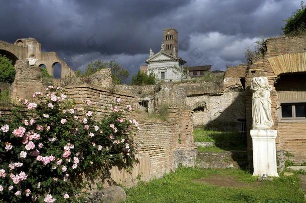 古罗马的论坛意大利罗马古老小山巴拉丁伯爵的玫瑰灌木雕塑