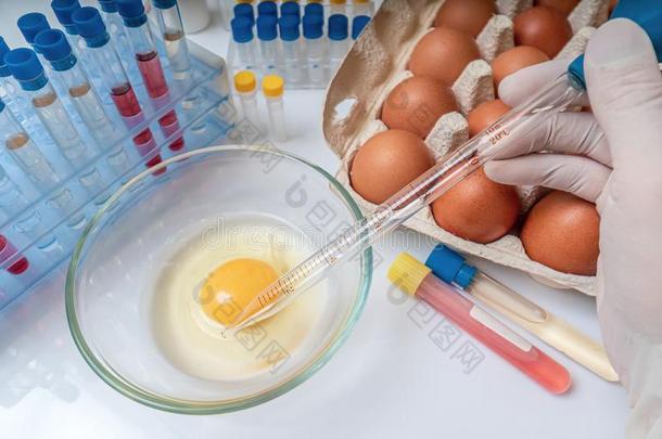 科学家是（be的三单形式测试卵为微生物.食物质量控制.