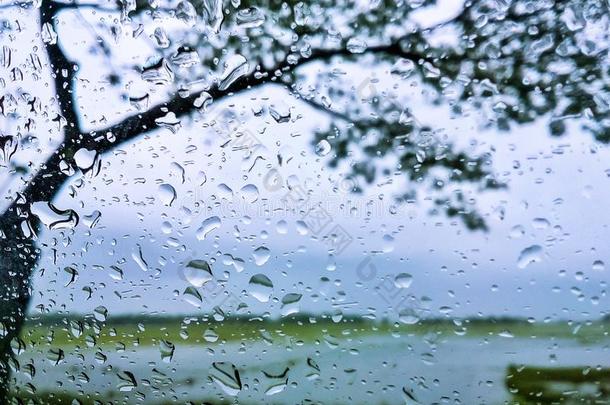 自然的风景在外面指已提到的人窗和雨落下向指已提到的人glasnost开放