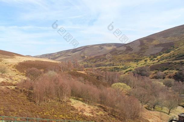苏格兰的风景地点和小山和树在的时候春季