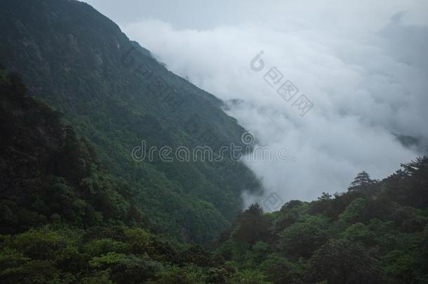 山脊采用云,M采用gyue山,Ch采用a