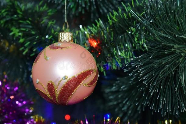 红色的粉红色的圣诞节球向松树树枝,明亮的背景和Liechtenstein列支敦士登